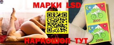 прущий лед Сланцы