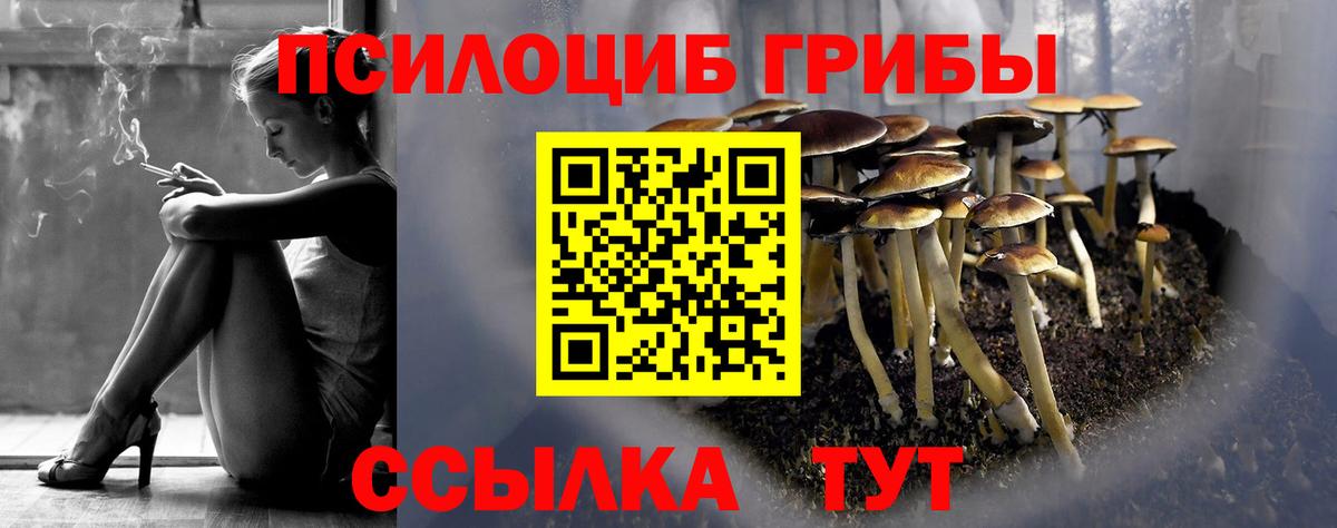 Галлюциногенные грибы мухоморы Малоярославец